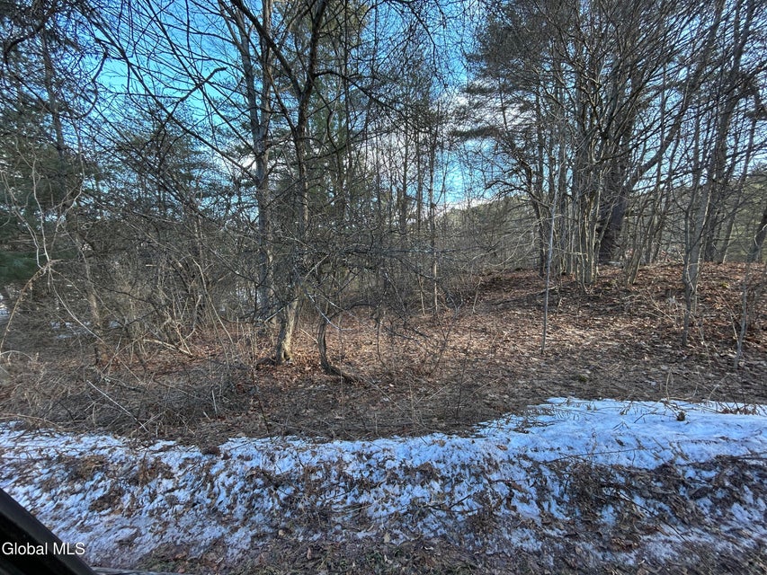 Click for larger photo
